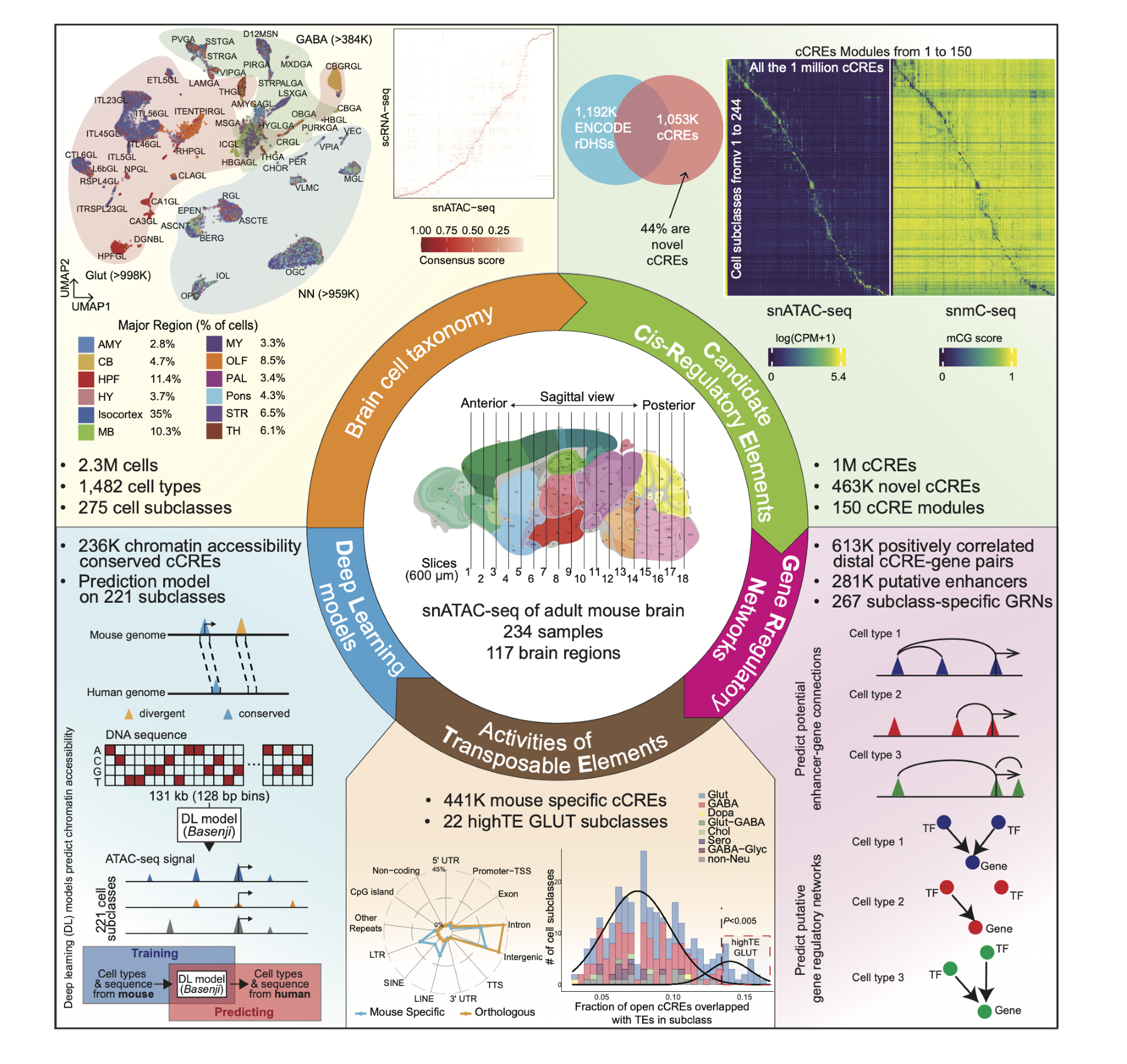 Songpeng Zu,  Yang Eric Li and Kangli Wang's single-cell anlaysis of chromatin accessibility in the adult mouse brain paper is published in Nature!