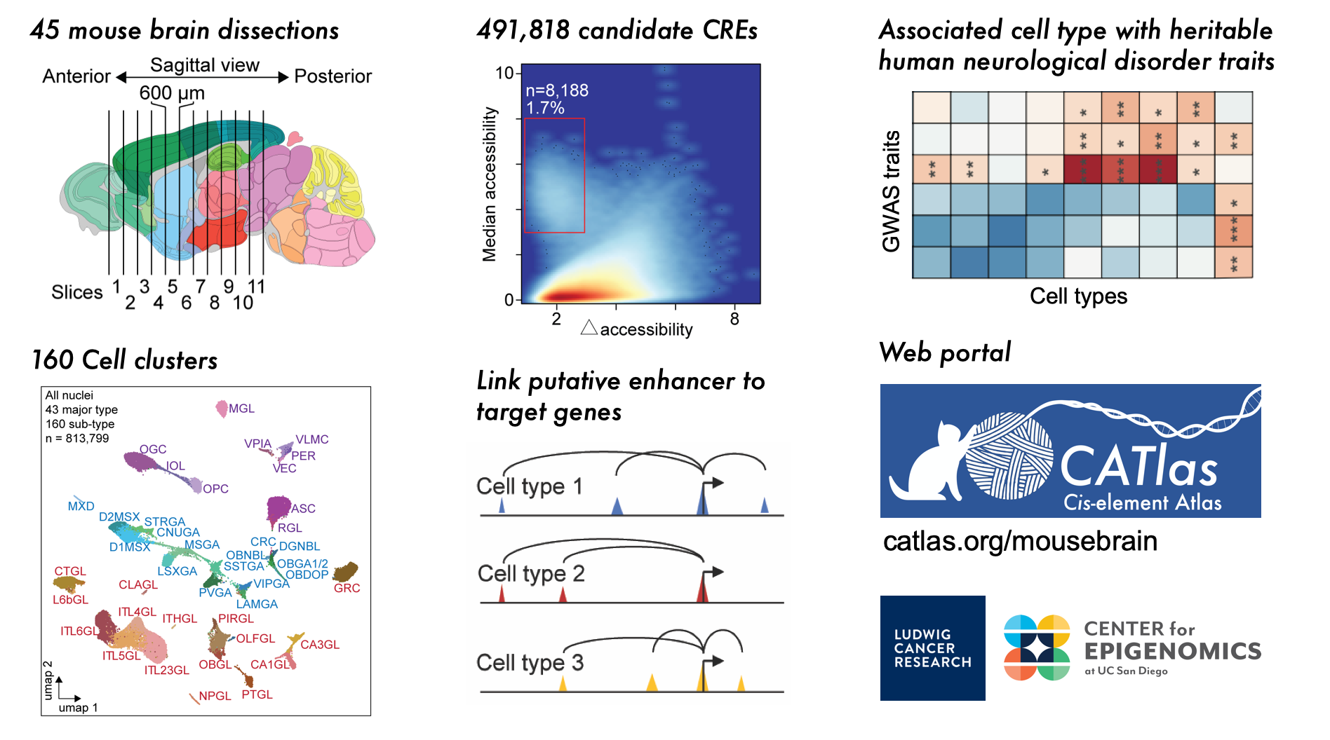 Yang & Sebastian's single cell mouse brain paper published on Nature today!