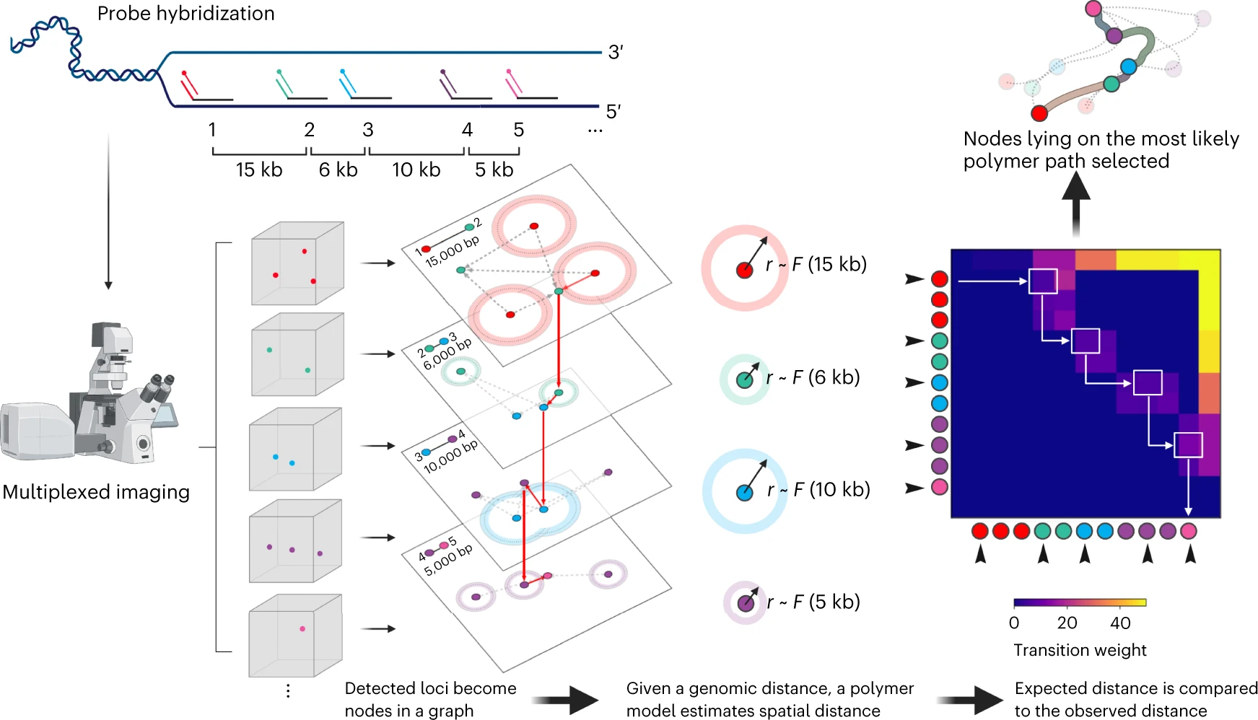 Blair's spatial genome alignment (SGA) paper is published in Nature Biotechnology!